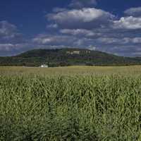 Cornfields, hill, and houses with clouds and sky