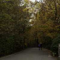 Downward path on the Autumn Trail