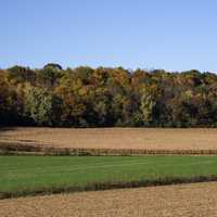 Farm and Autumn Treeline with fall foliage in Wisconsin