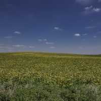 Farms and Crops landscape to the horizon