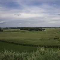 Farms and rows of crops under skies in Wisconsin