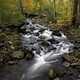 Fast moving rapids in the autumn forest at Baxter's Hollow