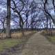 The Hiking Path near Black Earth, Wisconsin