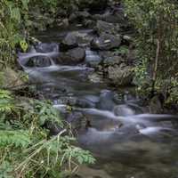 Flowing Stream at Parafrey's Glenn, Wisconsin