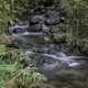 Flowing Stream at Parafrey's Glenn, Wisconsin