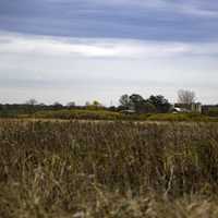 Grass and landscape with farmhouse at Faville Grove