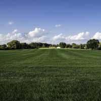 Grass Field landscape