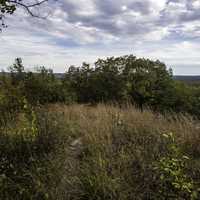 Grasses and trees under the sky and clouds at Ferry Bluff, Wisconsin