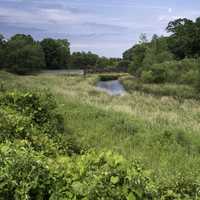 Grassfield landscape and bridge at Camrock County Park