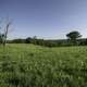 Grassland and meadow landscape