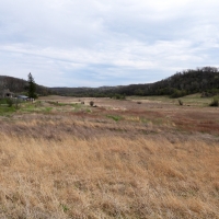 Grassy landscape at Pleasant Valley
