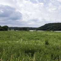 Greenery landscape with grass and lake at Indian Lake