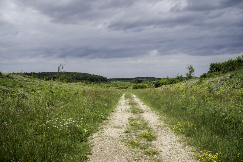 Hiking Path at Goose Lake State Wildlife Area, Wisconsin image - Free stock photo - Public ...