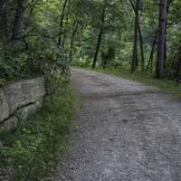 Hiking Path at Stewart Lake County Park