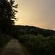 Hiking path at sunset at Stewart Lake County Park