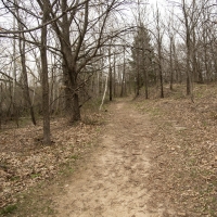 Hiking path in the forest at Magnolia Bluff