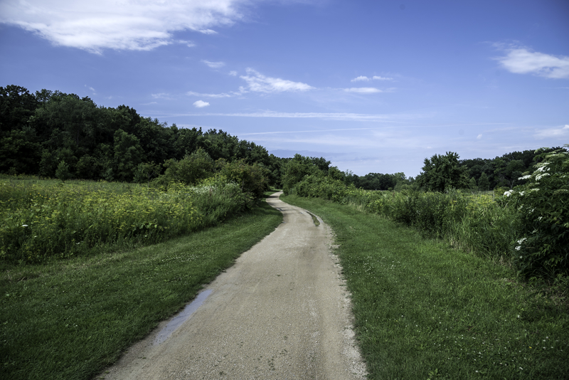 Hiking Trail on a clear day at Camrock County Park image - Free stock photo - Public Domain ...