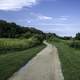 Hiking Trail on a clear day at Camrock County Park