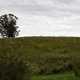 Hill, grass, and landscape under cloudy sky