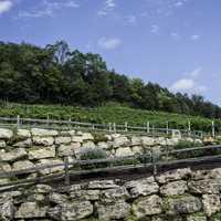 Hills of Wollersheim Winery in Wisconsin