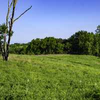 Hills, trees, and nature at Pleasant Valley State Natural Area