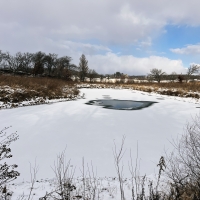 Hole through the Ice at Donald County Park