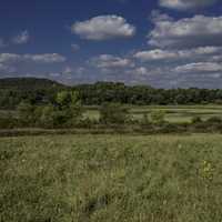 Landscape and Algae covered Wisconsin River