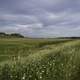 Landscape by biking path under cloudy skies