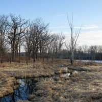 Landscape of the Marsh at Beckman Mill, Wisconsin