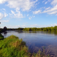 Landscape of the Wisconsin River