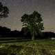 Landscape, tree, and stars at Blackhawk Lake Recreation Area, Wisconsin