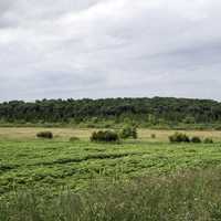 Landscape with a line of trees in the distance at Goose Lake State Wildlife Area