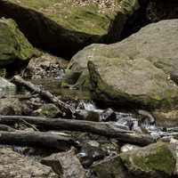 Logs, rocks, and creek at Parfrey's Glen, Wisconsin