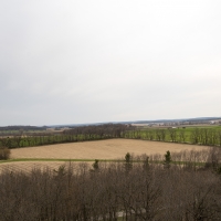 Magnolia Bluff overlook landscape