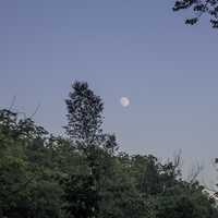 Moon beyond the trees at dusk at Stewart Lake County Park