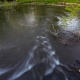 Rapids at Paoli at Falks Wells Area