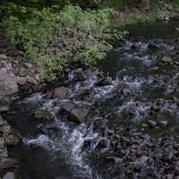 Rapids in the creek at Baxter's Hollow, Wisconsin