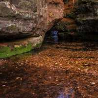 Red Leaves in the waters of the gorge at Pewit's Nest, Wisconsin