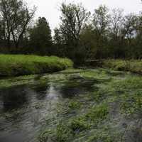 River landscape with grass and trees