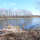 River Scenery at Camrock County Park