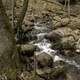 Running Stream landscape at Parfrey's Glen, Wisconsin