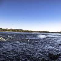 Seagulls in the air above the Wisconsin River