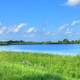 Pond on a Clear day in Wisconsin