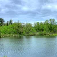 Across a pond at Kickapoo Valley Reserve, Wisconsin