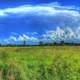 Beautiful Day over Wilderness in Wisconsin