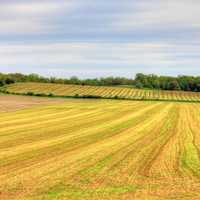 Empty farm to the horizon in Southern Wisconsin