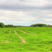 Farmland and Sky in Southern Wisconsin