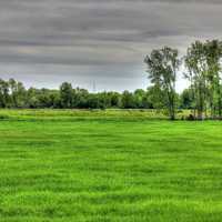 Landscape and livestock in the distance in Southern Wisconsin