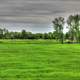 Landscape and livestock in the distance in Southern Wisconsin