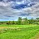 Landscape at the roadside in Southern Wisconsin